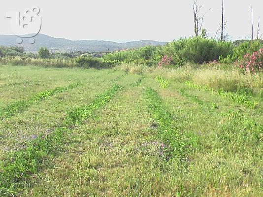 100 τμ σε 15 στρεμματα